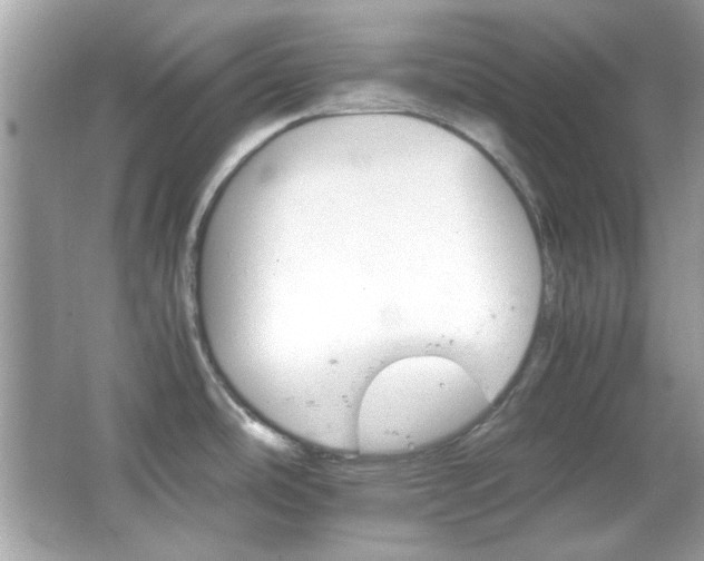 X0000066081486200603101127