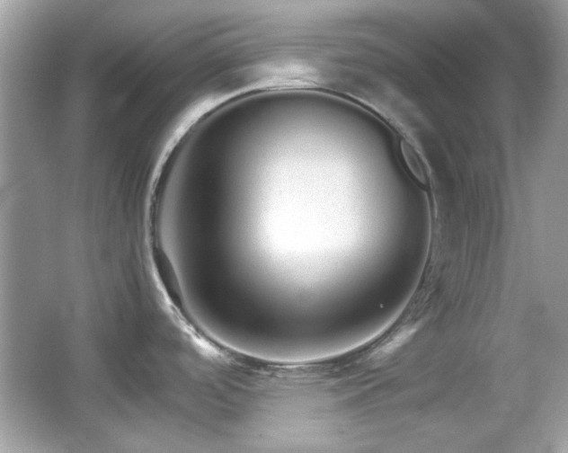 X0000066081488200603101127