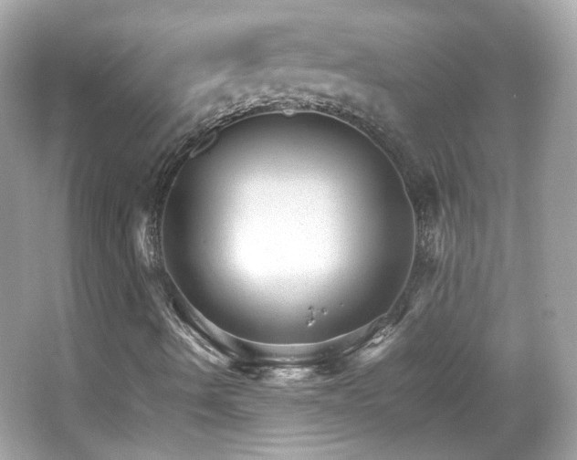 X0000066081490200603101126