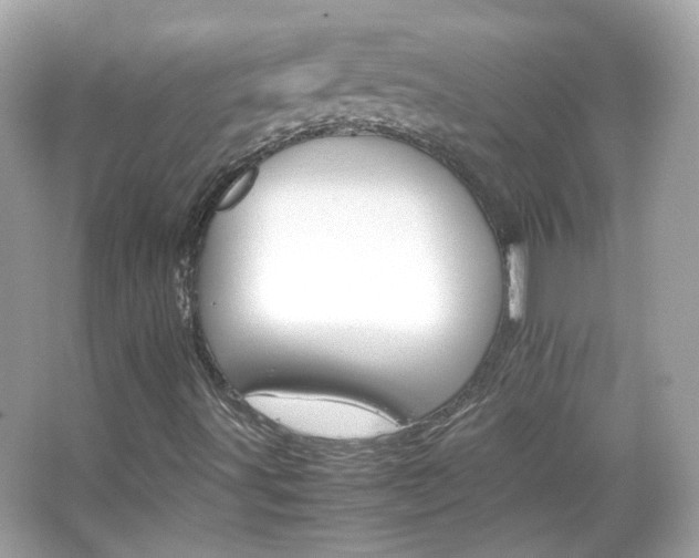 X0000066081491200603101126