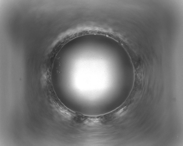 X0000066081495200603101126