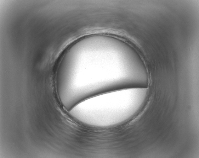 X0000066081501200603101126