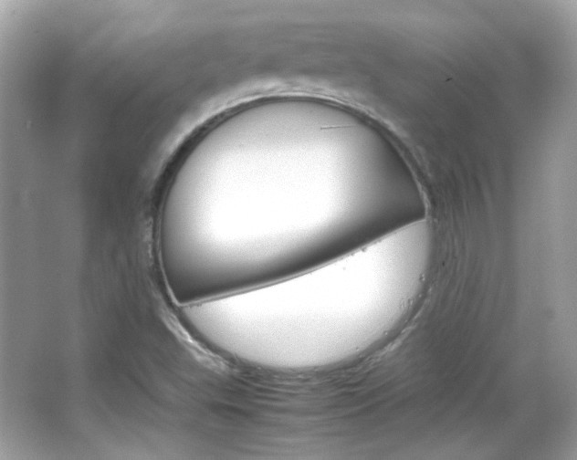 X0000066081503200603101126