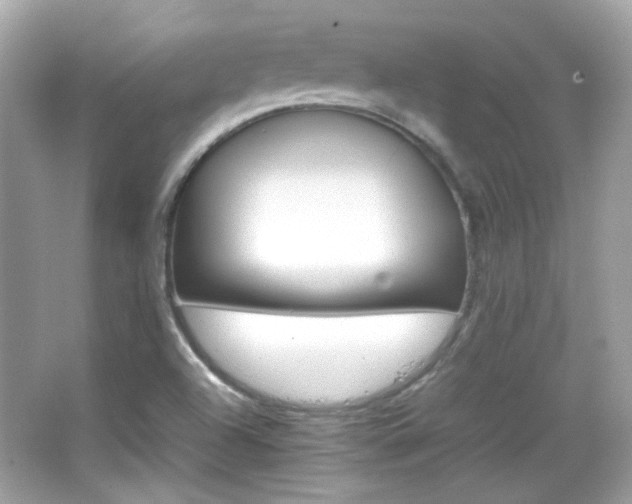 X0000066081504200603101126