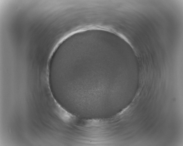 X0000066081508200603101127