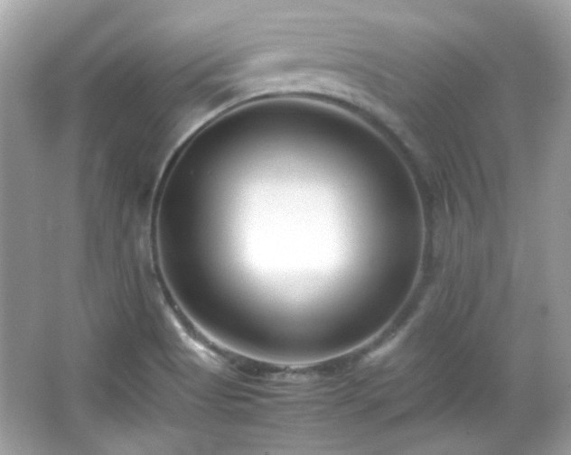 X0000066081513200603101127