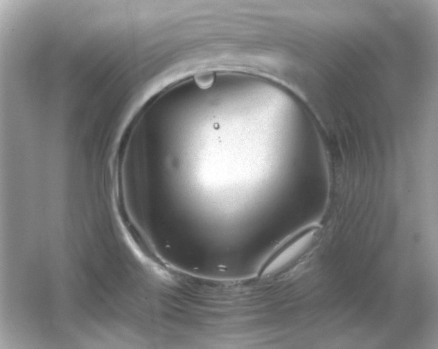 X0000066081515200603101127