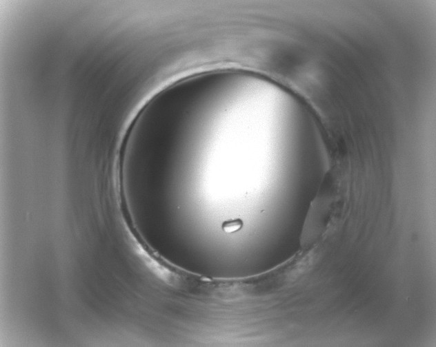 X0000066081516200603101127