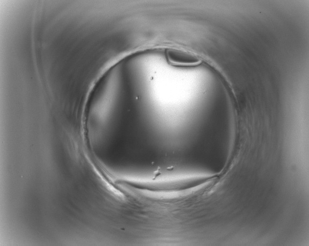 X0000066081525200603101127