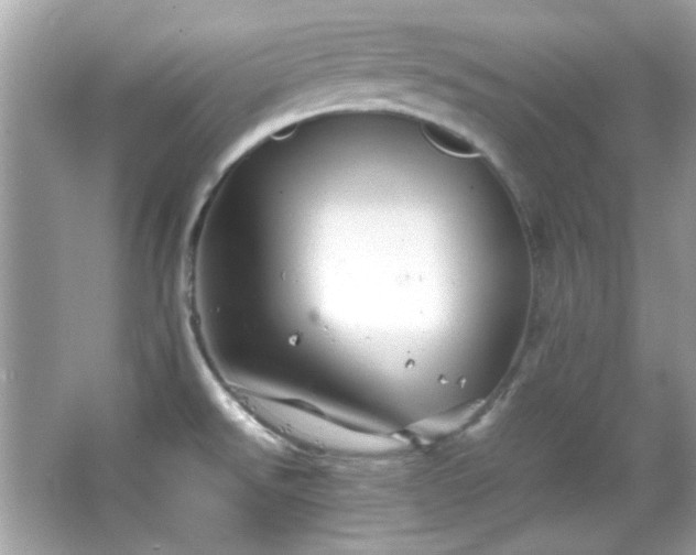 X0000066081526200603101127