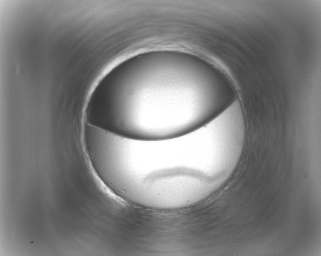 X0000066081528200603101127