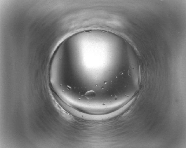 X0000066081530200603101127