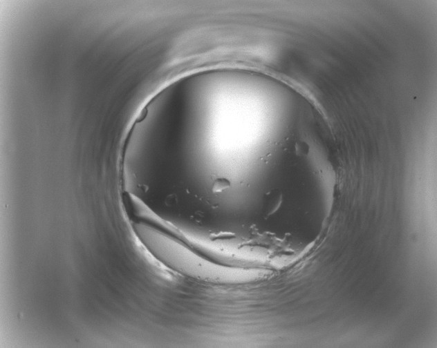 X0000066081532200603101127