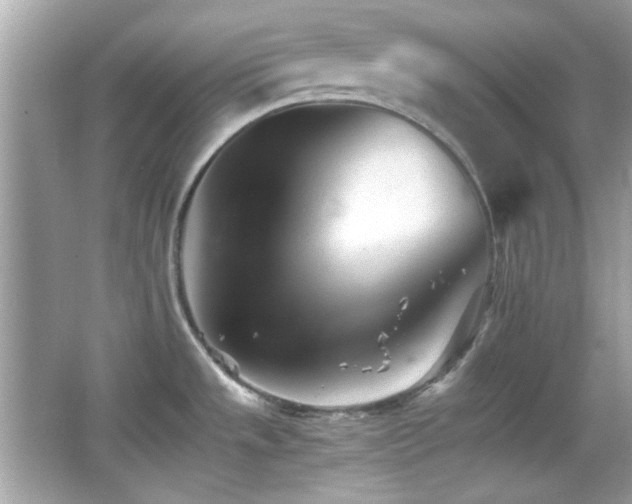 X0000066081533200603101127