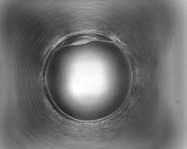 X0000066080002200603131150