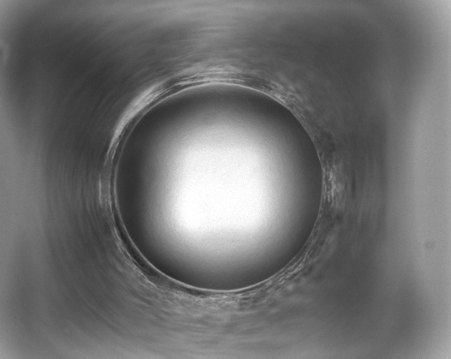 X0000066080004200603131150
