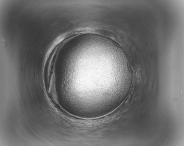 X0000066080006200603131150