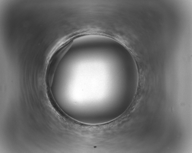 X0000066080007200603131150
