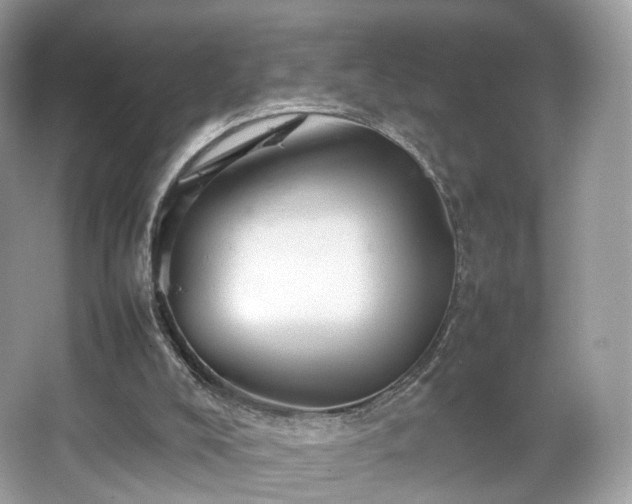 X0000066080008200603131150