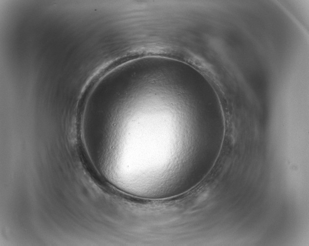 X0000066080012200603131150
