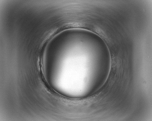 X0000066080014200603131150