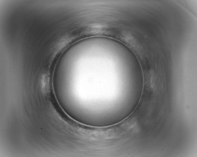 X0000066080016200603131149
