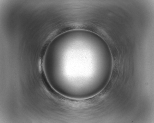 X0000066080024200603131149