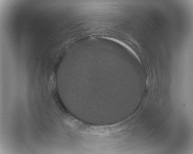 X0000066080029200603131149
