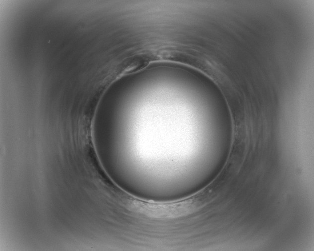 X0000066080030200603131149