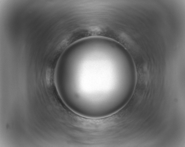 X0000066080034200603131149