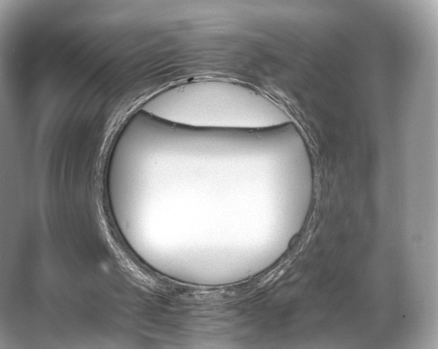 X0000066080049200603131148