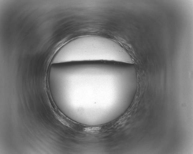 X0000066080051200603131148