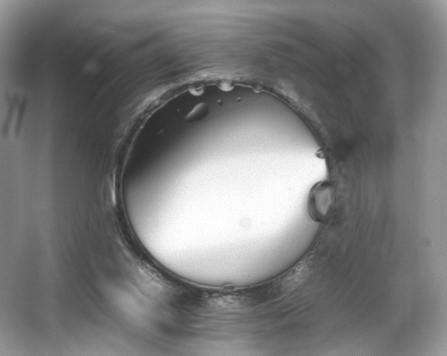 X0000066080062200603131148