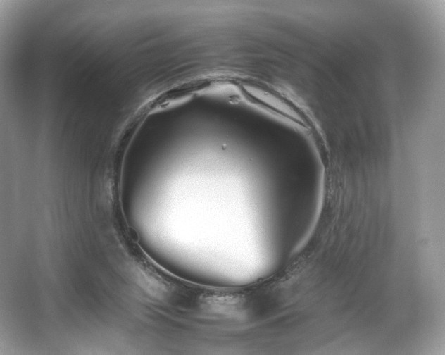 X0000066080063200603131148
