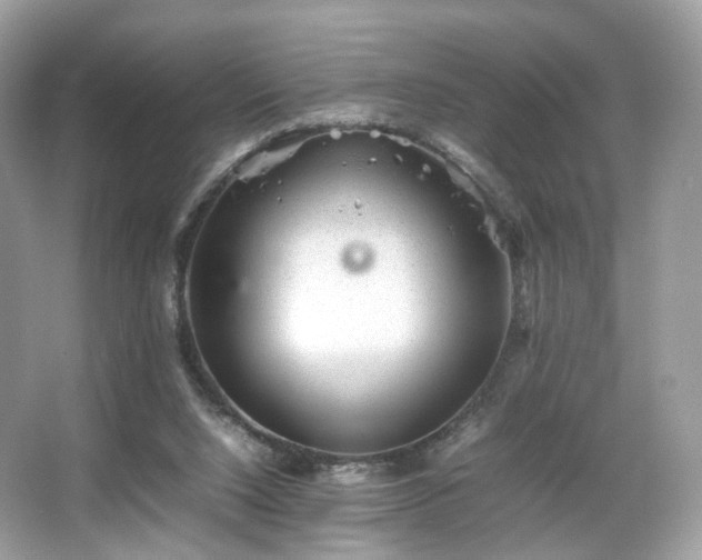 X0000066080064200603131148