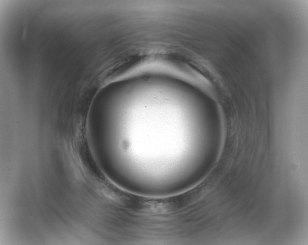 X0000066080073200603131149