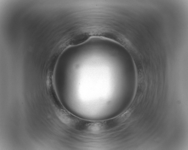 X0000066080074200603131149