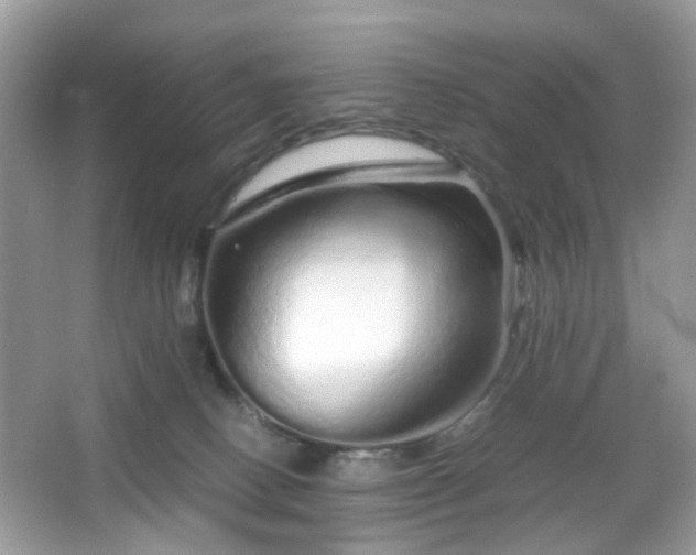 X0000066080082200603131149