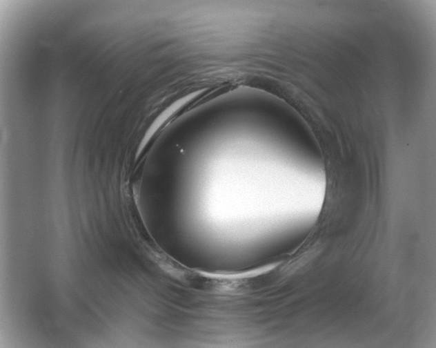 X0000066080096200603131149