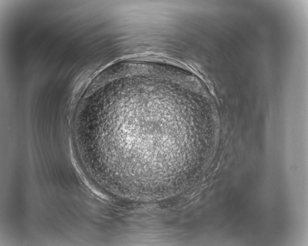 X0000066080097200603131148