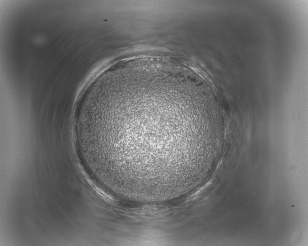 X0000066080101200603131148