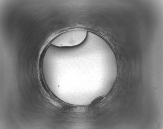 X0000066080102200603131148