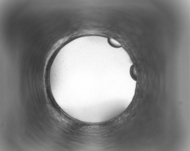X0000066080104200603131148