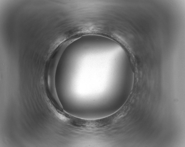X0000066080105200603131148