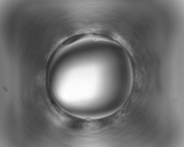X0000066080107200603131148