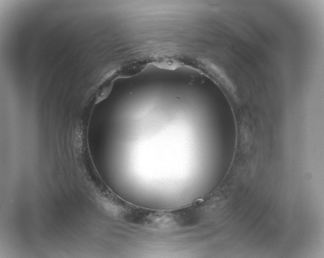 X0000066080113200603131148