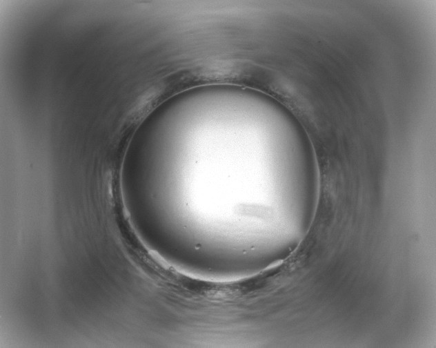 X0000066080115200603131148