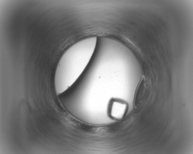 X0000066080117200603131148