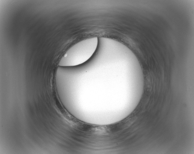 X0000066080118200603131148
