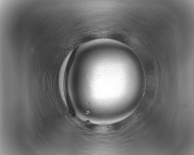 X0000066080131200603131148